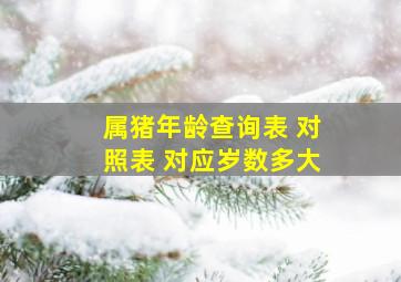 属猪年龄查询表 对照表 对应岁数多大